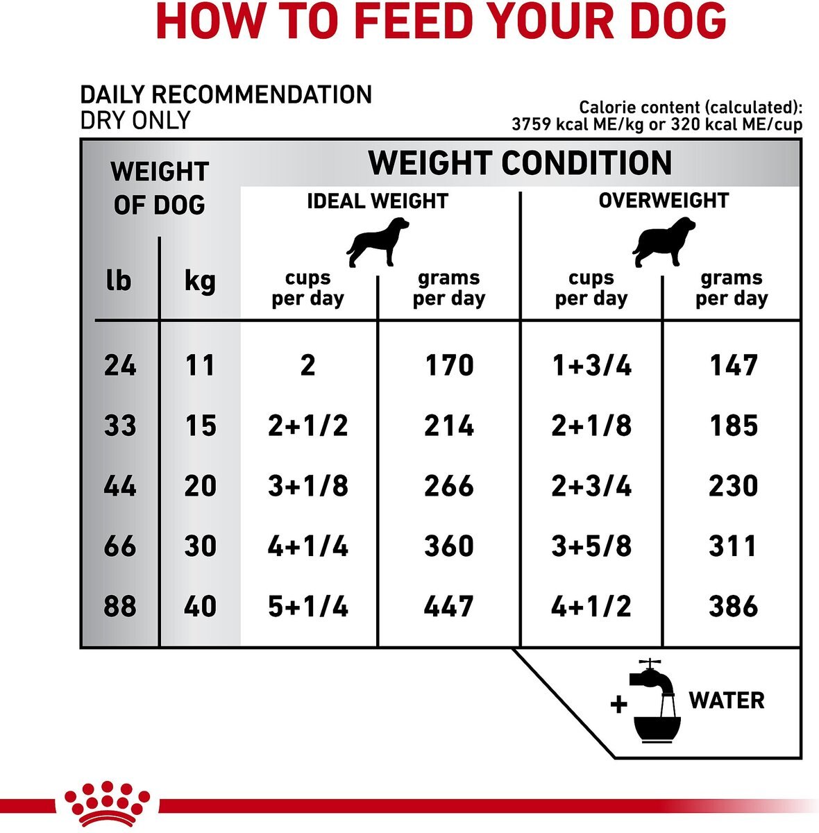 Royal Canin Veterinary Diet Adult Dental Medium and Large Breed Dry Dog Food