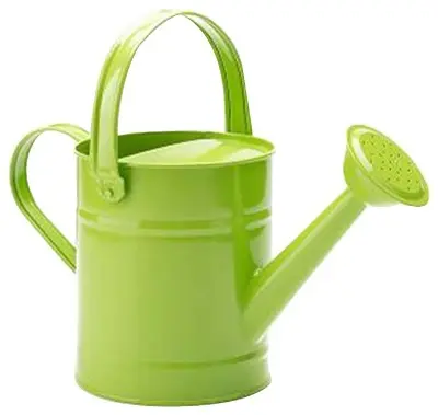 Galvanized Water Can Best Quality Affordable Handmade Fancy Watering Can Classic Luxurious Garden Supplies Water Cane