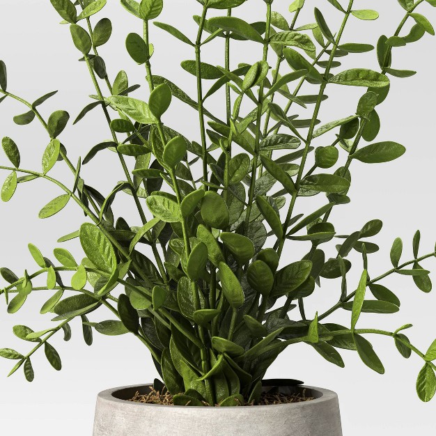 Privet Artificial Plant Designed With Studio Mcgee