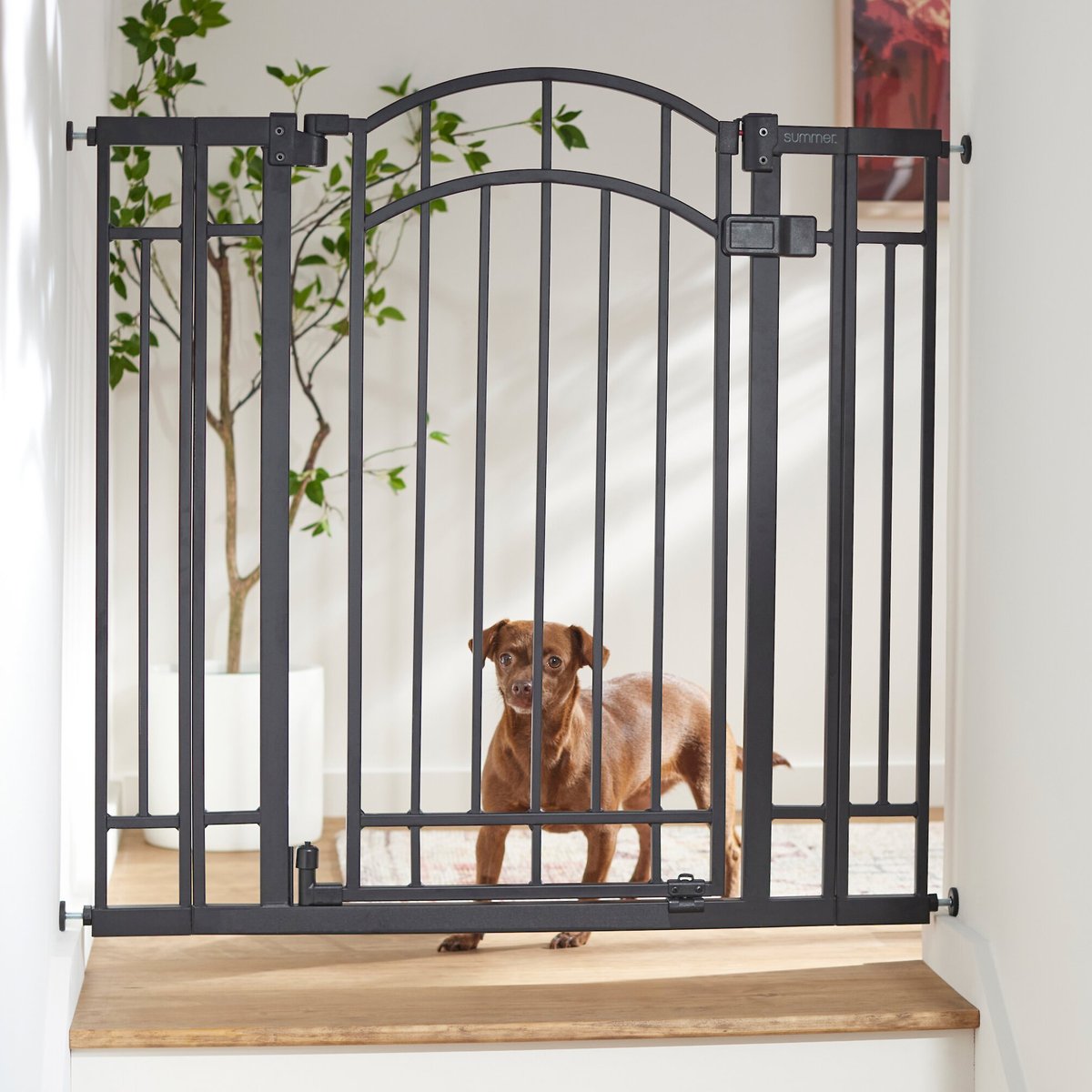 Summer Multi-Use Decorative Extra Tall Walk-Thru Dog Gate