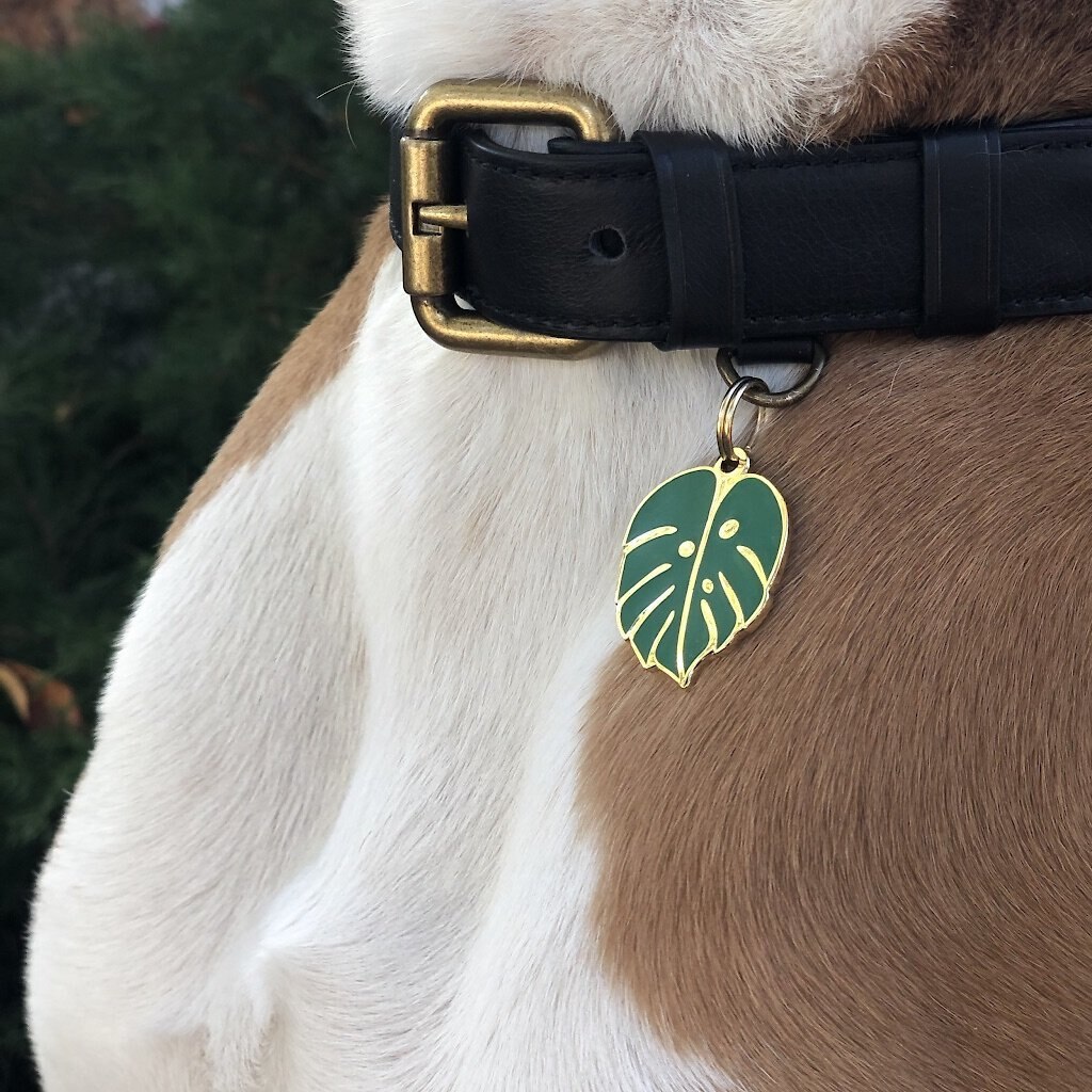 Two Tails Pet Company Monstera Leaf Personalized Dog and Cat ID Tag