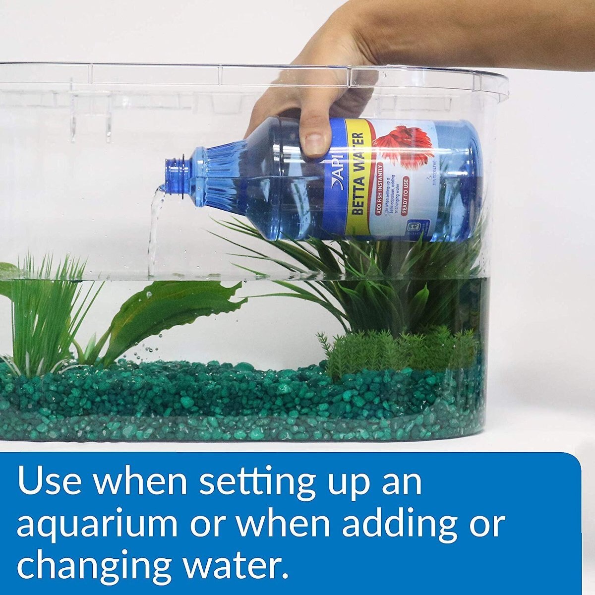 API Betta Aquarium Water Care， 31-oz bottle