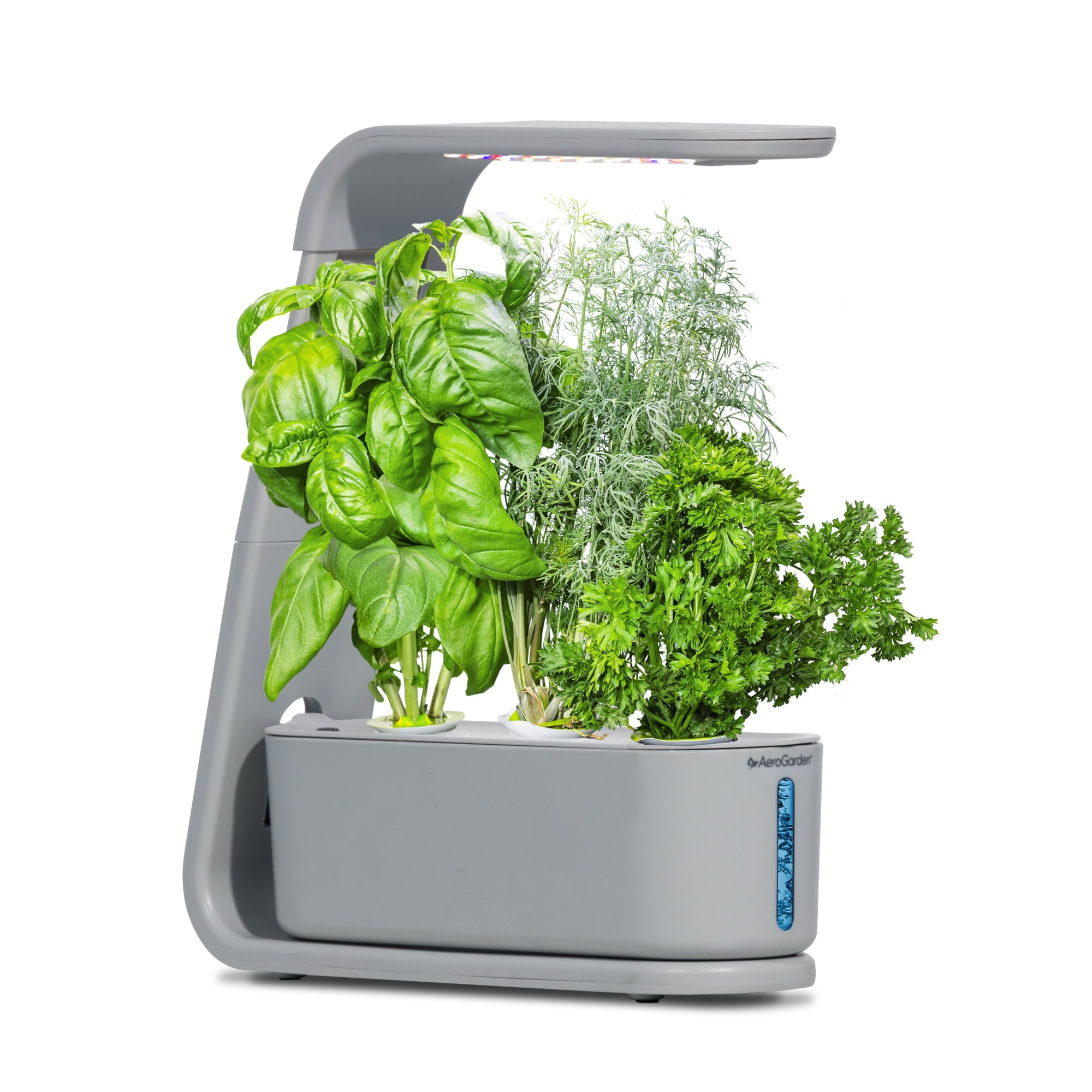 AeroGarden Sprout with Seed Starting System - Indoor Garden， Cool Gray