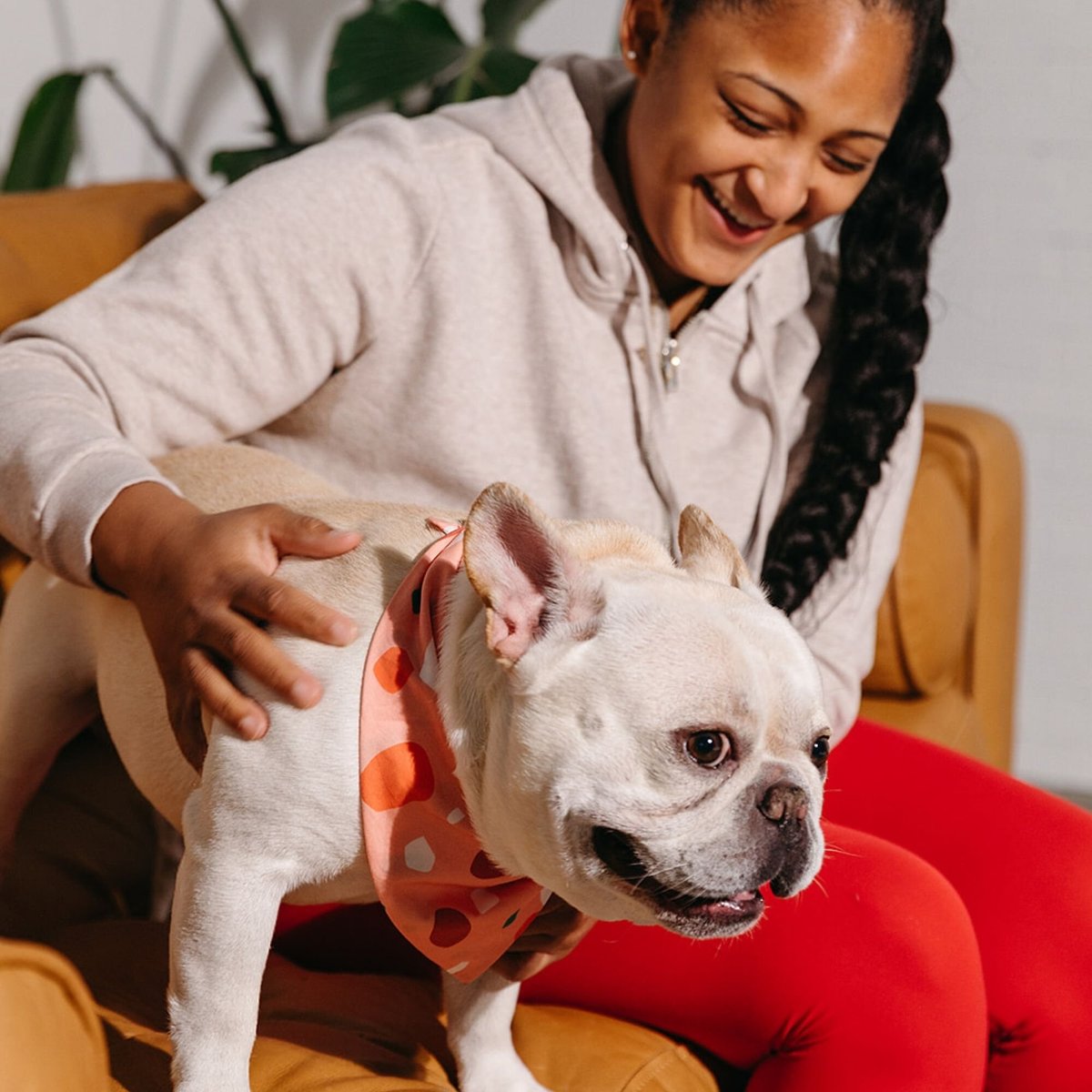 Good Trouble Combed Cotton Dog Bandana