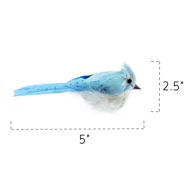 Cornucopia Brands Artificial Blue Jays 6pk Realistic Feathered Decorations For Christmas And Crafts