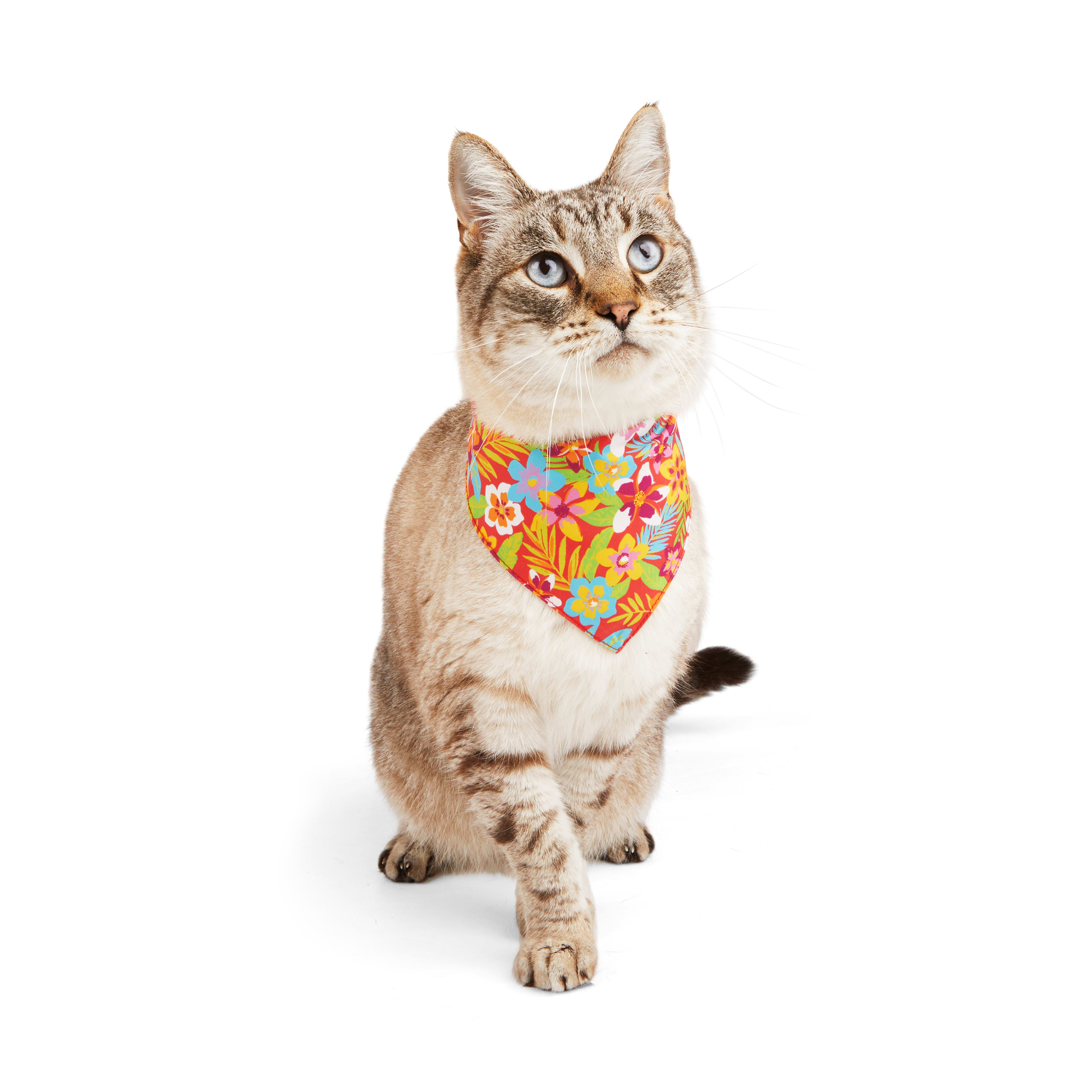 YOULY Cat Tropic Floral Bandana， Small/Medium