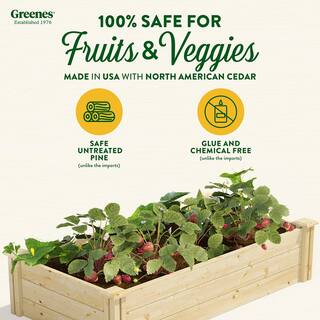 Greenes Fence 2 ft. x 4 ft. x 10.5 in. Original Pine Raised Garden Bed RCP24484T