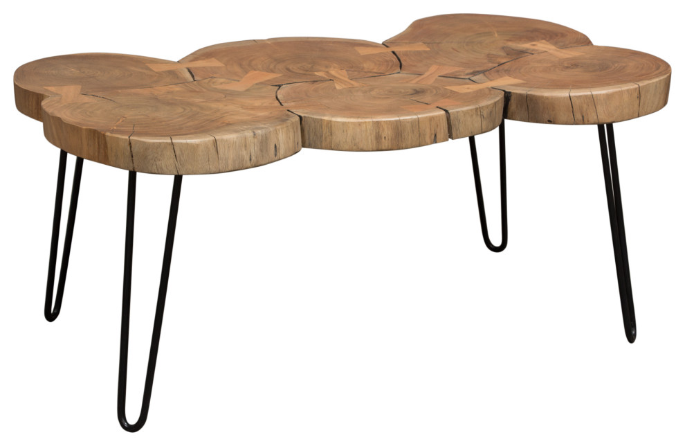 Joss Natural Acacia Live Edge Rectangle Cocktail Table  Black Hairpin Legs   Rustic   Coffee Tables   by Morning Design Group  Inc  Houzz