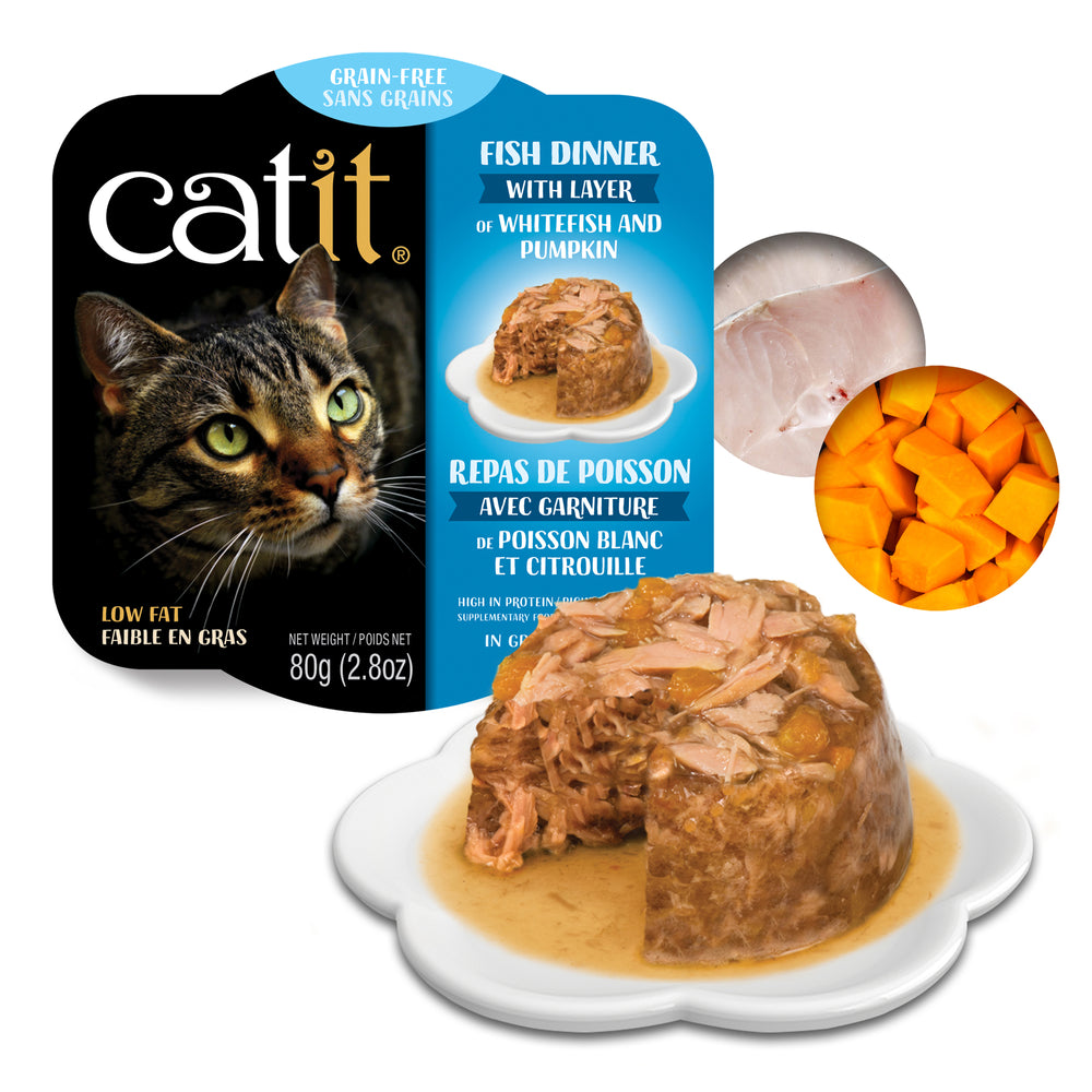 Catit Fish Dinner with Whitefish and Pumpkin Grain Free Wet Cat Food