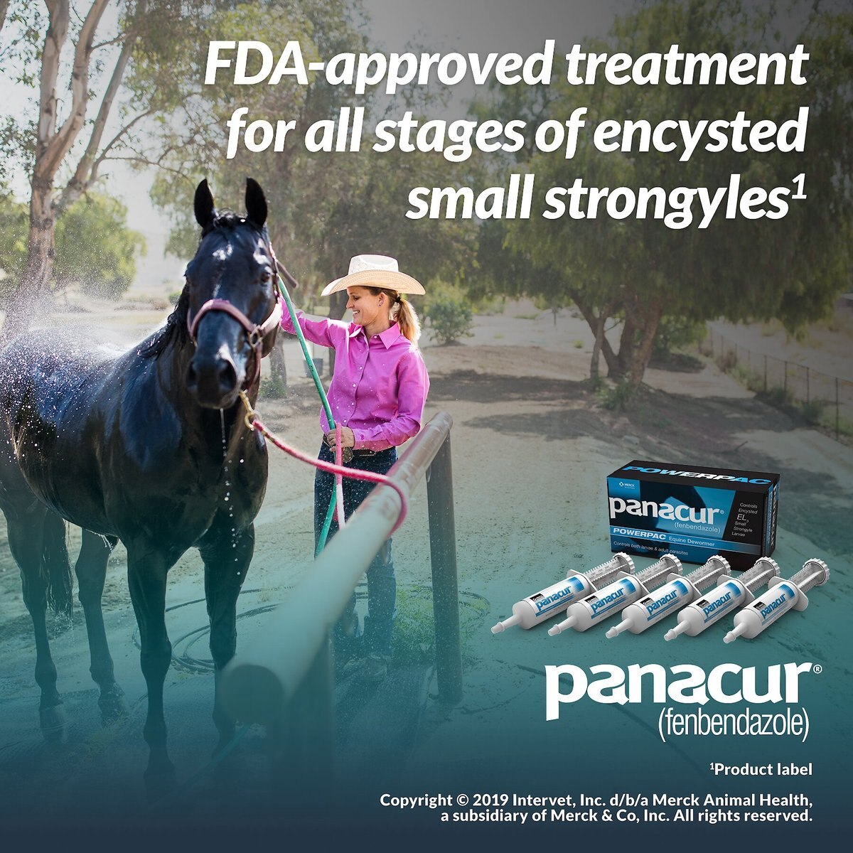 Panacur Powerpac Equine Paste 10% Horse Dewormer