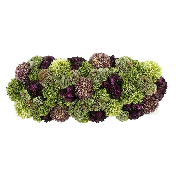 Sedum and Thistle Arranged in Rectangular Planter