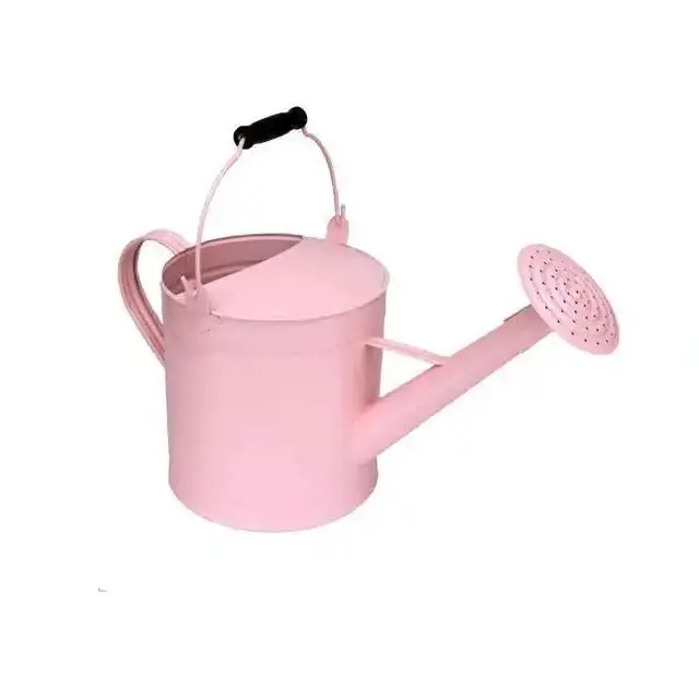 Indian supplies Large Capacity Galvanized Metal Water can powder coated metal watering can for Farm and Garden planter