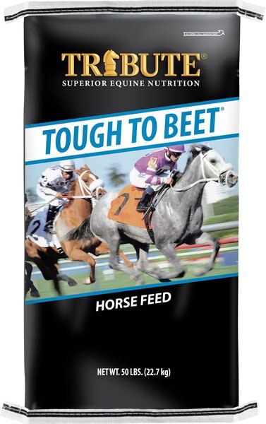 Tribute Equine Nutrition Tough To Beet Higher Fat Horse Feed