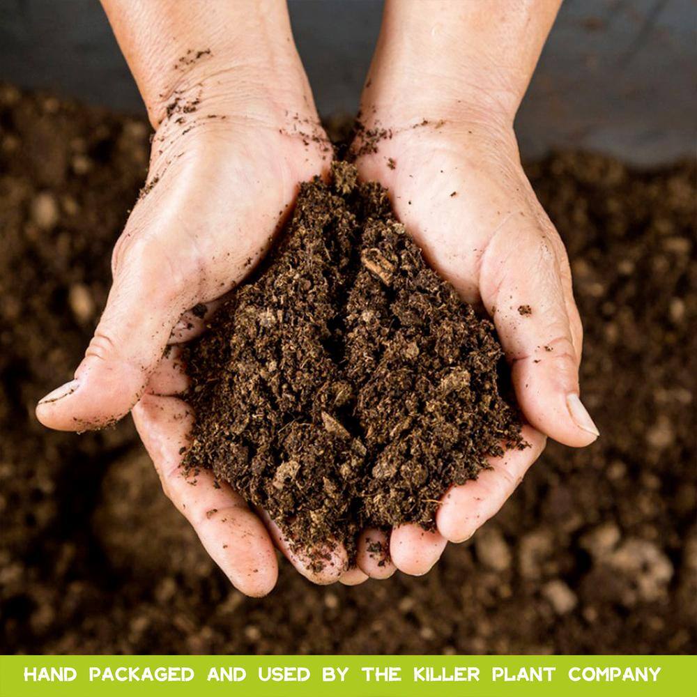 KILLER PLANT COMPANY Carnivorous Plant Soil - Sphagnum Peat Moss Perlite Mix 1:1 Ratio - For Venus Fly Traps Sundews and Pitcher Plants 1