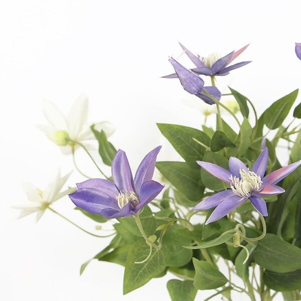 FloralGoods Luxury Silk Clematis Stem in Purple or White 28 Tall