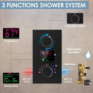 CRANACH 3-Spray Ceiling Mount 2.5 GPM Dual Shower Head Fixed and Handheld Shower Head in Matte Black (Valve Included) SFS1015-BK12-1