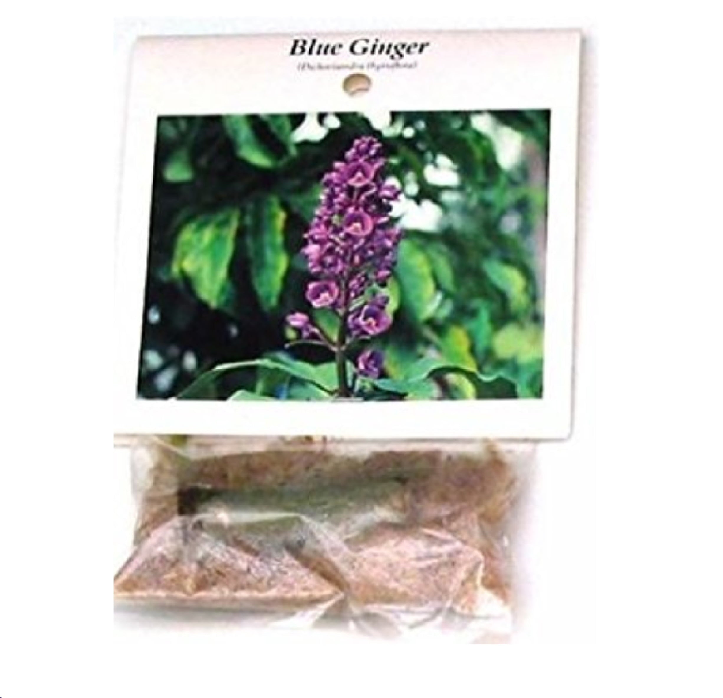 Blue Live Dichorisandra Thyrsiflora Ginger Plant Root 1 Pk Partial Sun