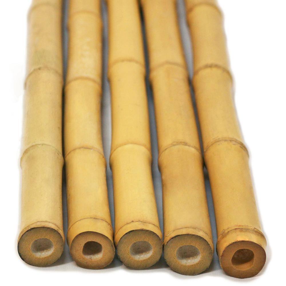 Backyard X-Scapes 1 in. D x 90 in. L Natural Bamboo Poles (25-PackBundled) HDD-BP05