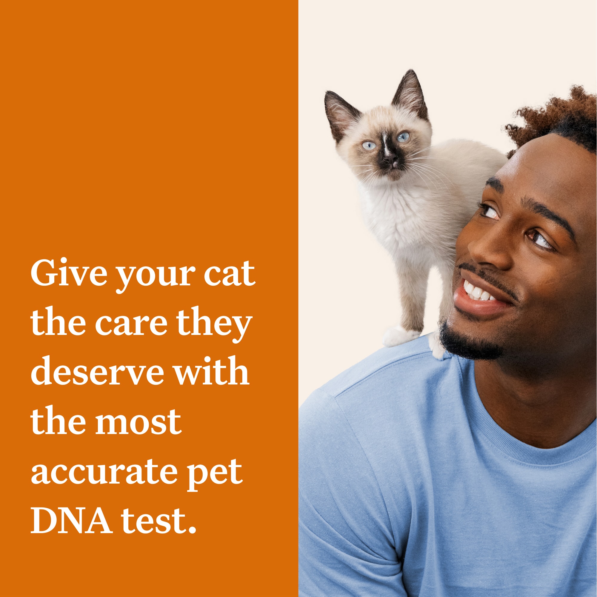 Wisdom Panel Complete Cat DNA Test