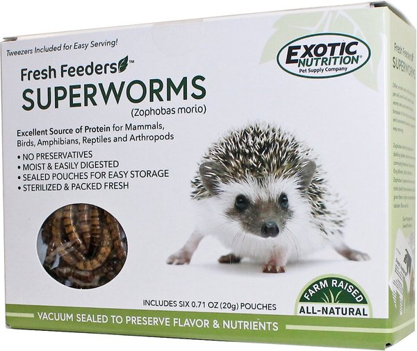 Exotic Nutrition Fresh Feeders Superworms Reptile Food， 5-oz box