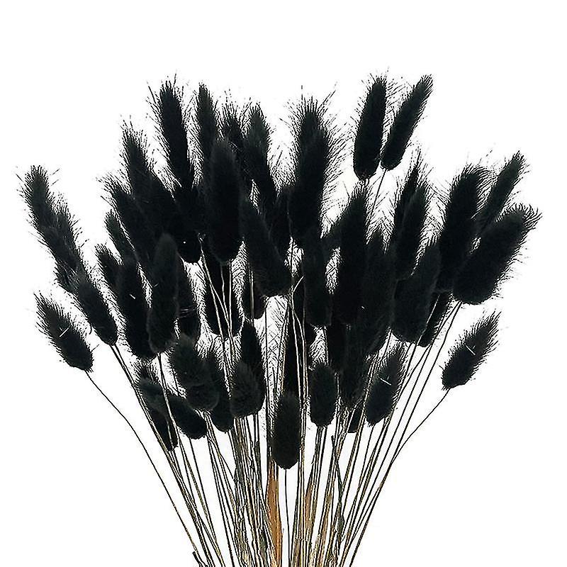 60pcs Fall Dried Flowers Bunny Tails Dried Flowers Lagurus Ovatus Rabbit Tail Grass For Dried Flora