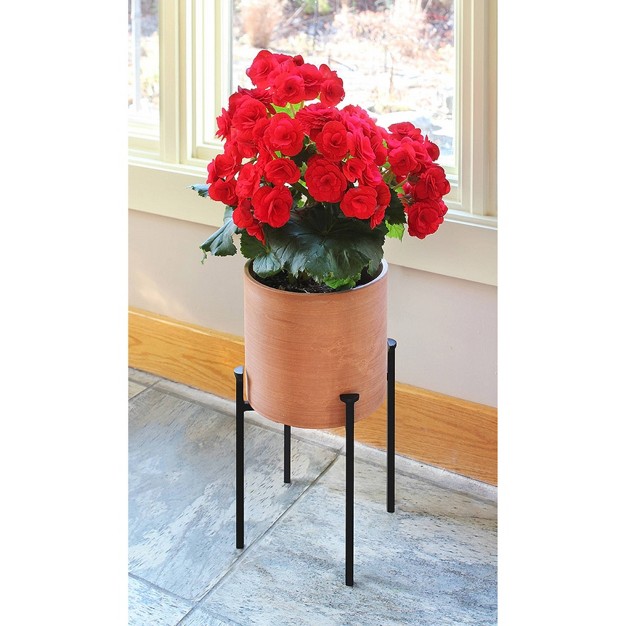 Simple Minimalist Tabletop And Floor Eileen Iron Plant Stand Black Achla Designs