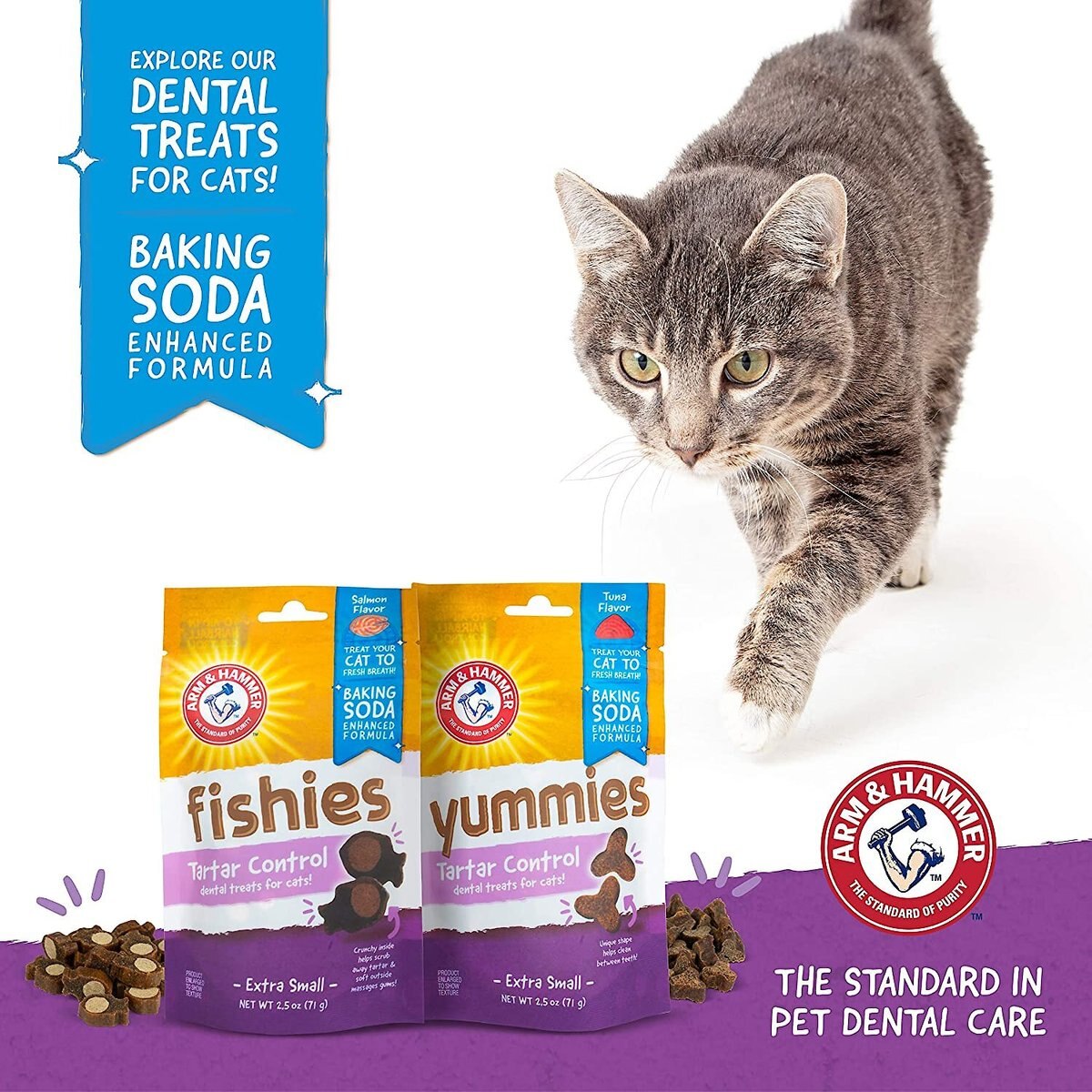 Arm and Hammer Fishies Tartar Control Extra Small Salmon Flavor Cat Dental Treats