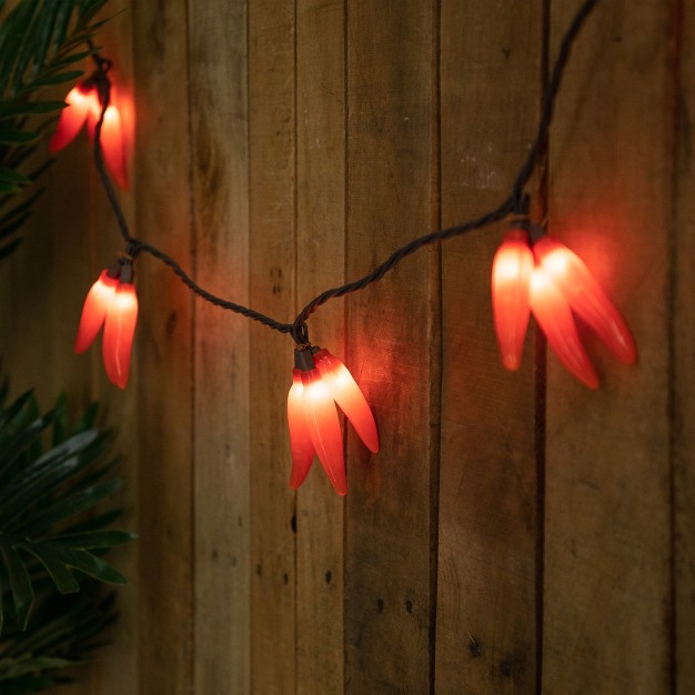 Northlight 36ct Chili Pepper Clustered String Lights Red Brown Wire