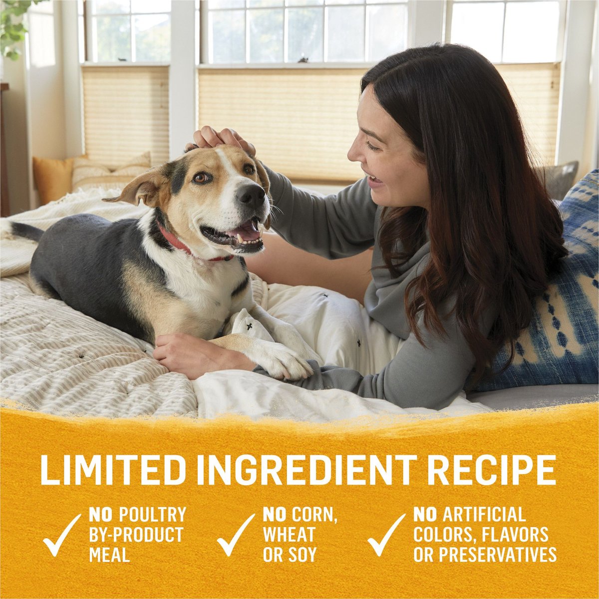 Purina Beyond Chicken， Carrot and Pea Recipe Ground Entrée Grain-Free Canned Dog Food