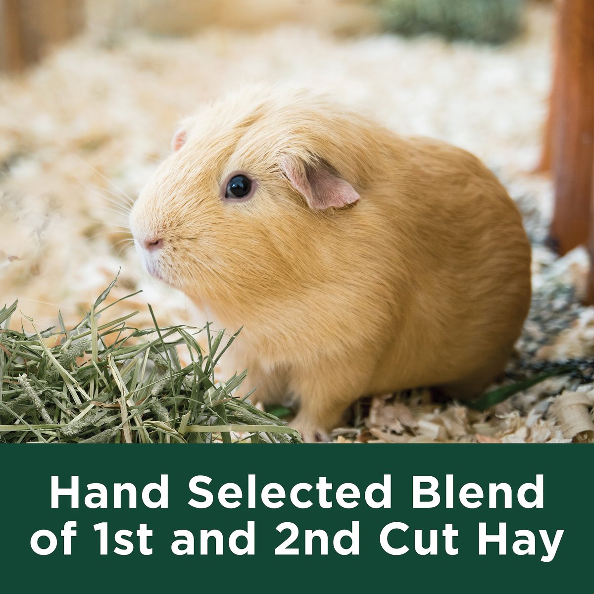 Kaytee Timothy Hay Plus Cranberries Small Animal Treat