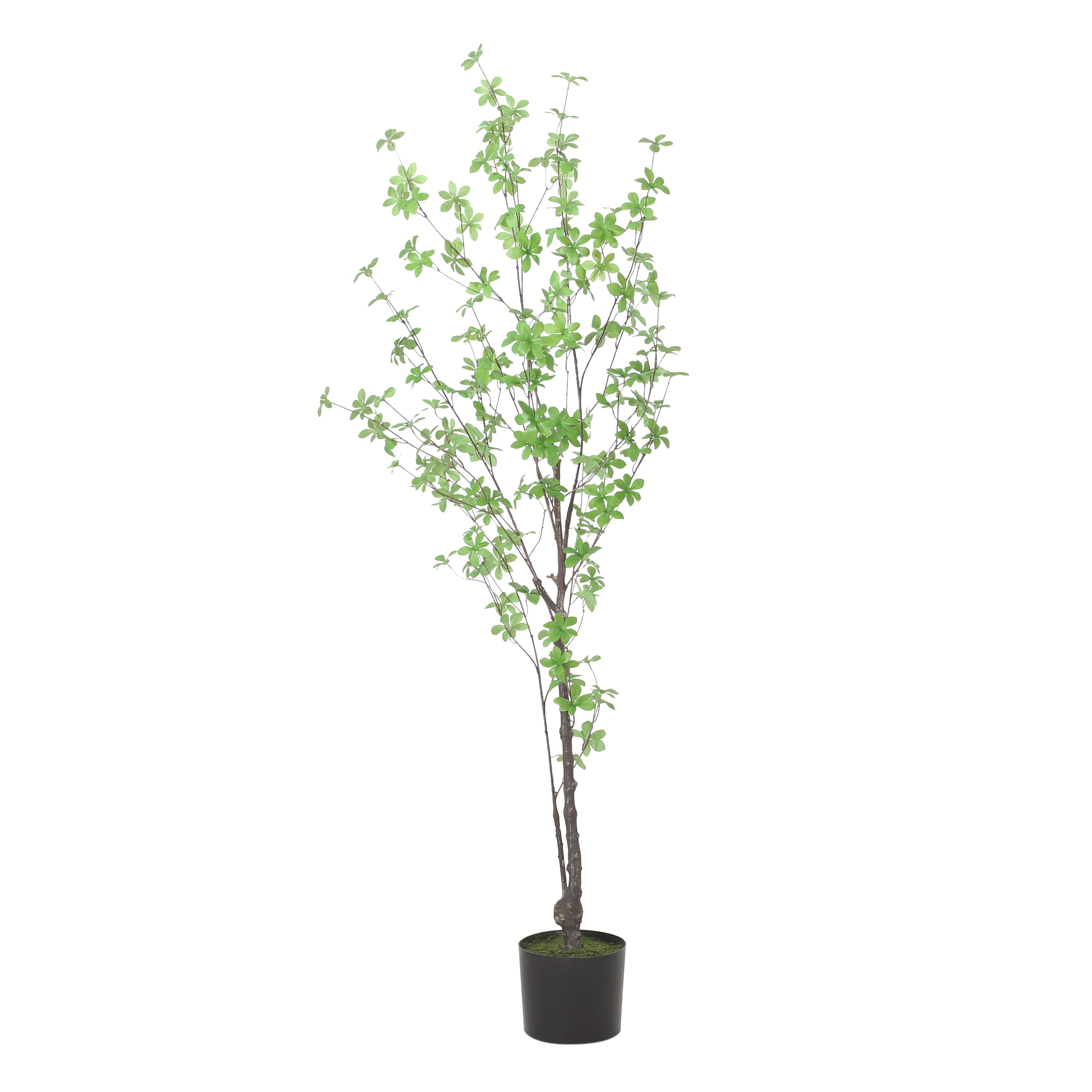 Monadnock Artificial Enkianthus Tree