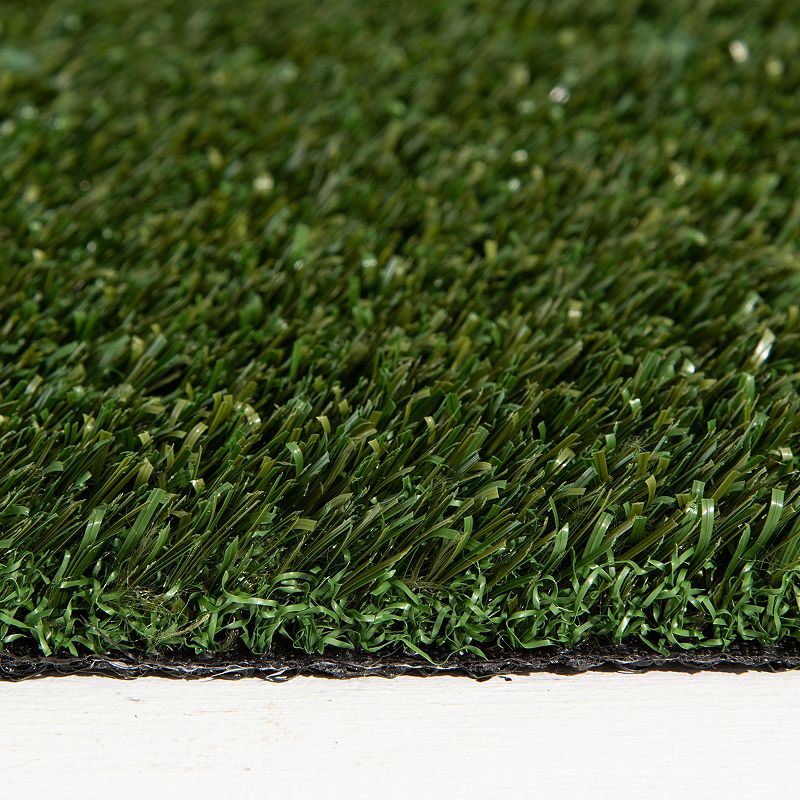 Loomaknoti Premium Artificial Grass Rug