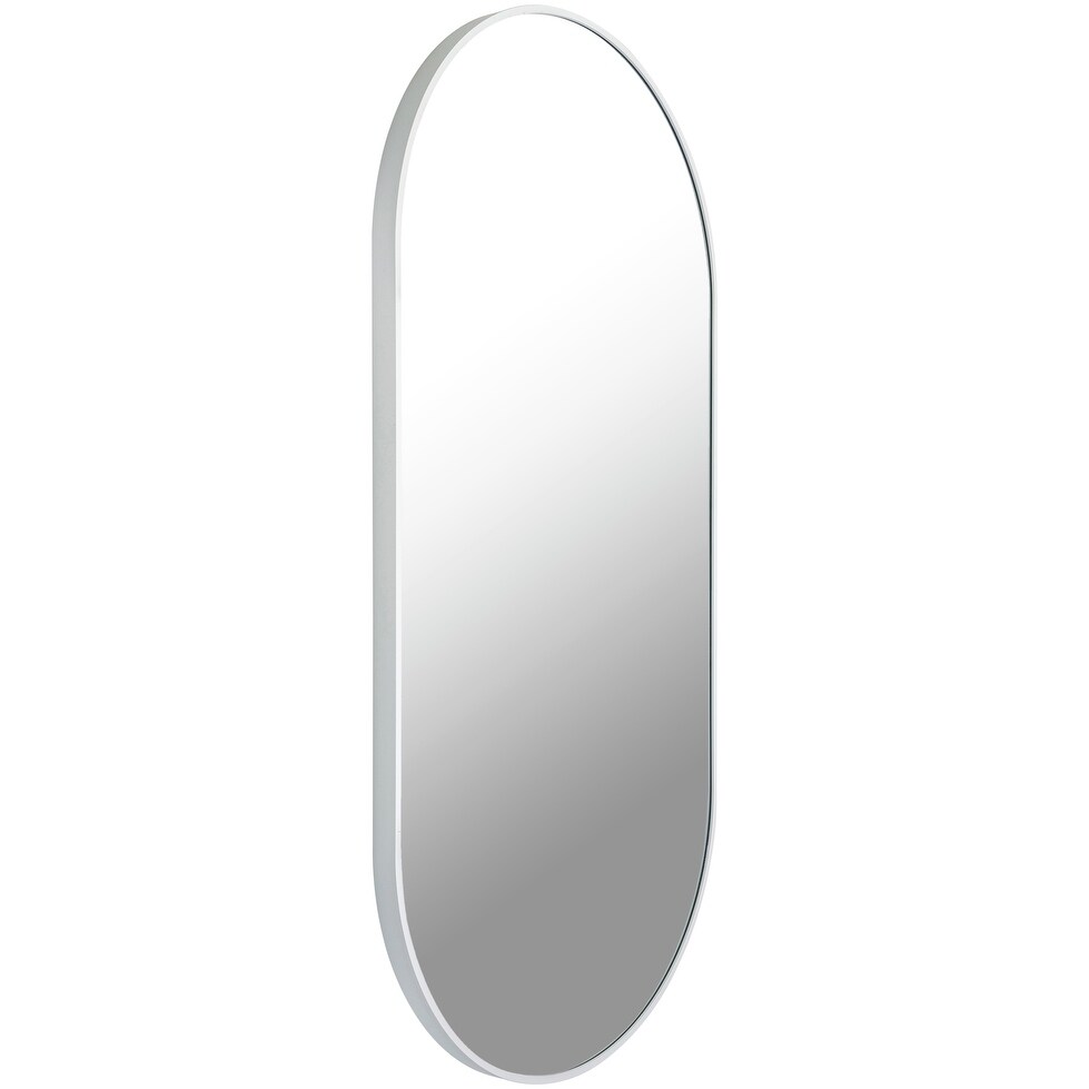 Artistic Weavers Aranya Modern Aluminum Oval Pill Shaped Accent Mirror