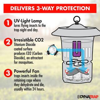 Dynatrap Indoor and Outdoor UV 12-Acre Insect and Mosquito Electronic Trap with Optional Wall Mount DT1100