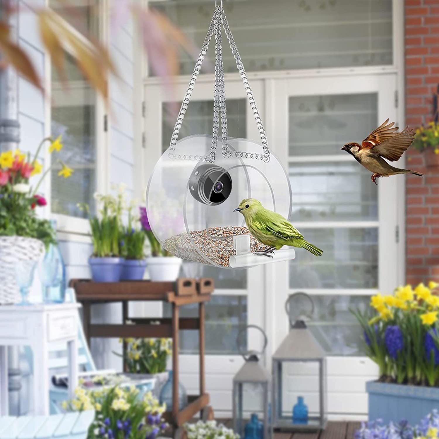 Smart bird feeder with camera Outdoor courtyard with camera， smart hanging bird feeder