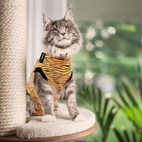 Suitical Recovery Suit Cat Apparel， Tiger Print