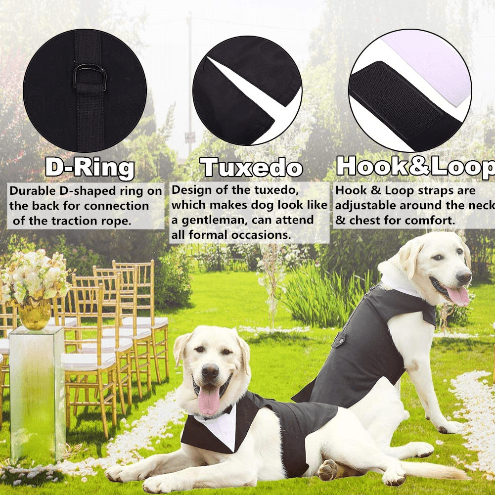 QBLEEV Dog Formal Tuxedo Suit for Medium Large Dogs，For Costume Wedding Party Outfit with Detachable Collar，Elegant Dog Apparel Bowtie Shirt and Bandana Set for Dress-up Cosplay Holiday Wear