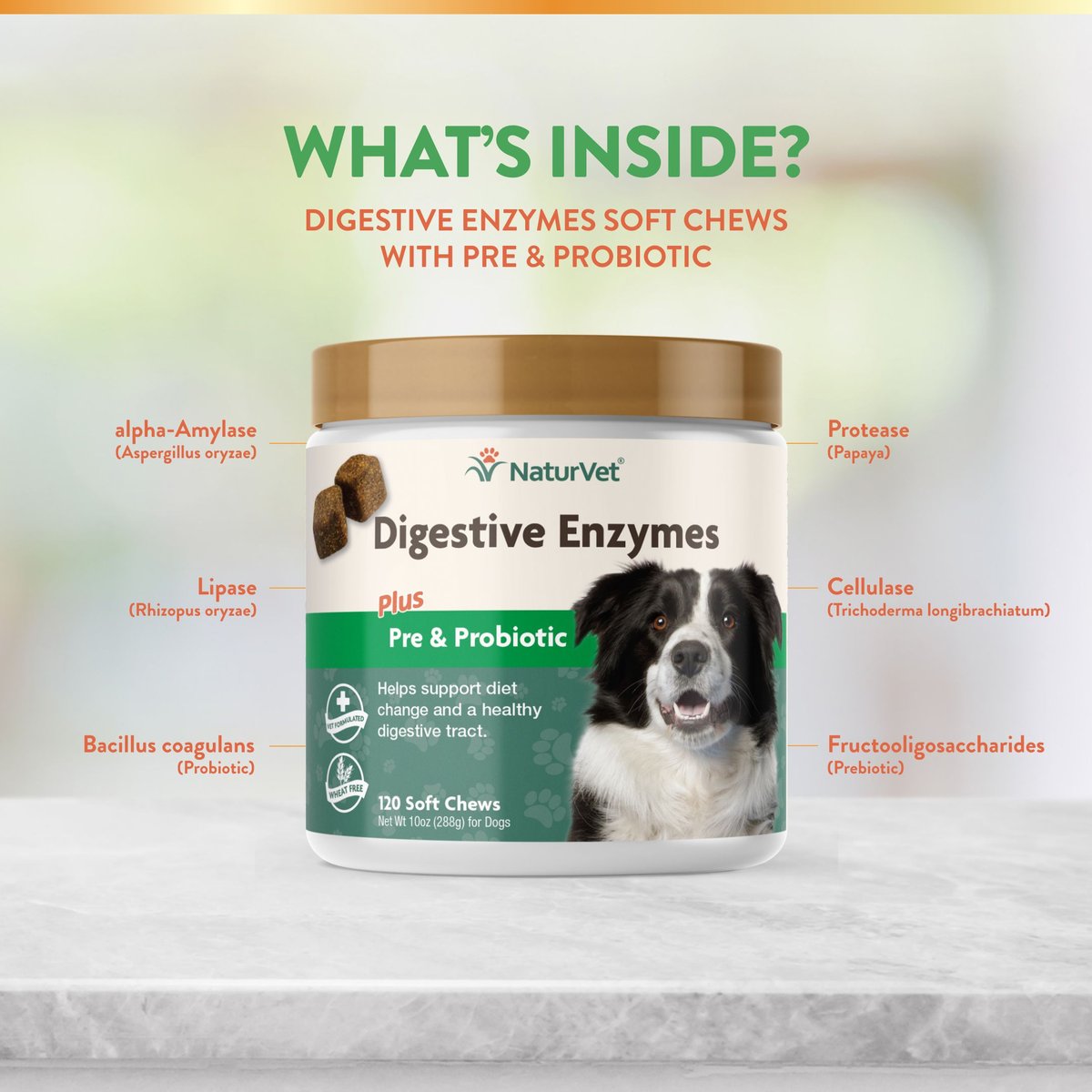 NaturVet Digestive Enzymes Plus Probiotic Soft Chews Digestive Supplement for Dogs