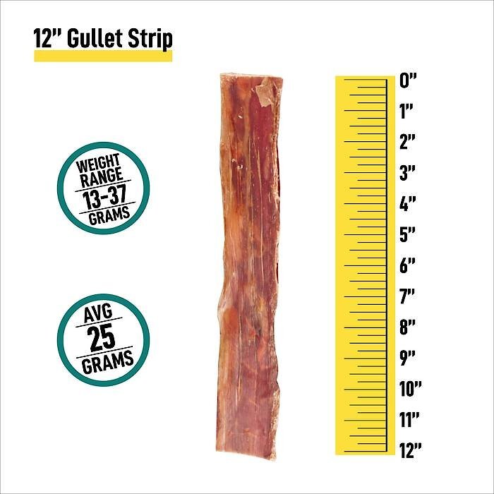 HOTSPOT PETS Flat Beef Gullet Stick Dog Chew Treats