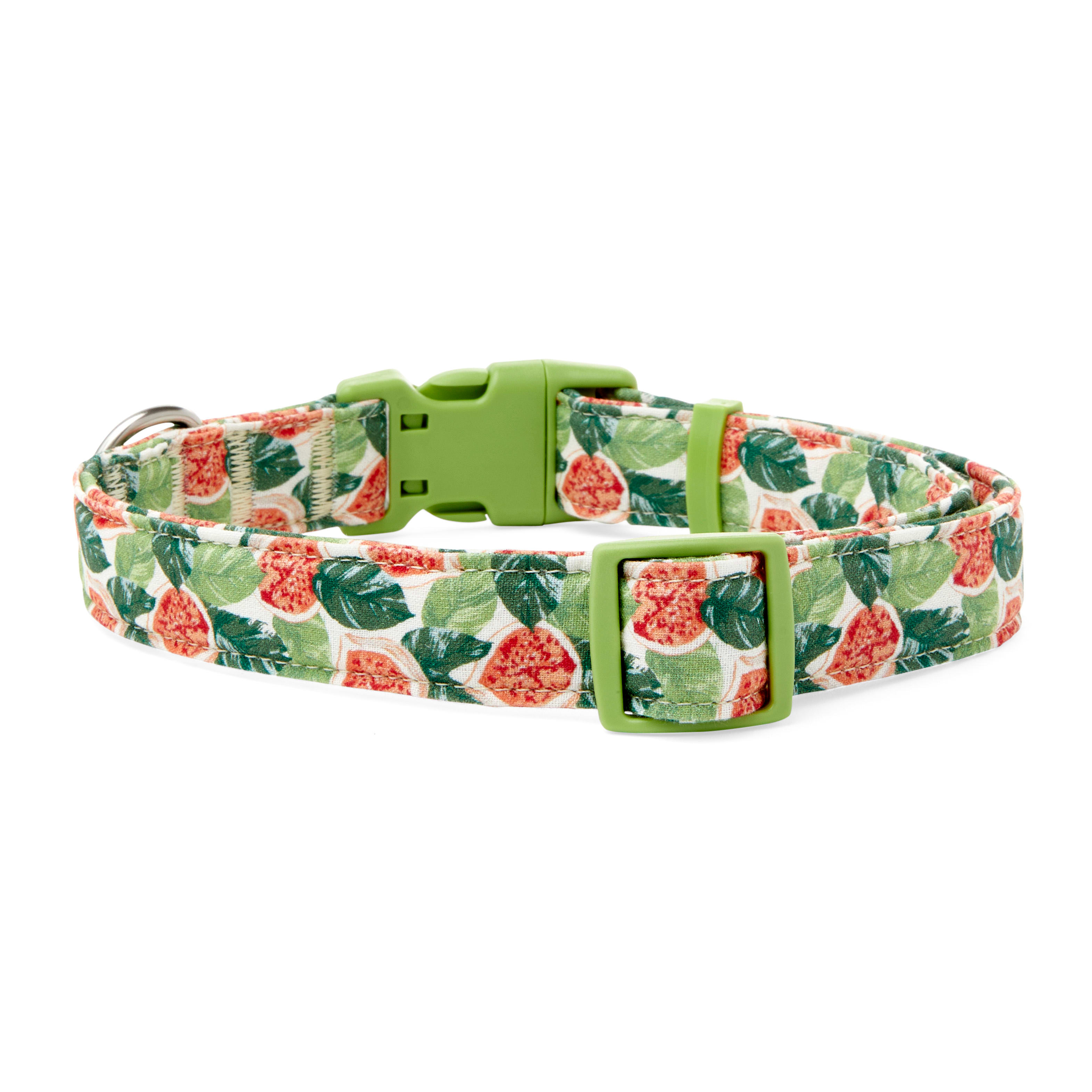 YOULY The Wanderer Green  Multicolor Go Fig-ure Dog Collar， Small