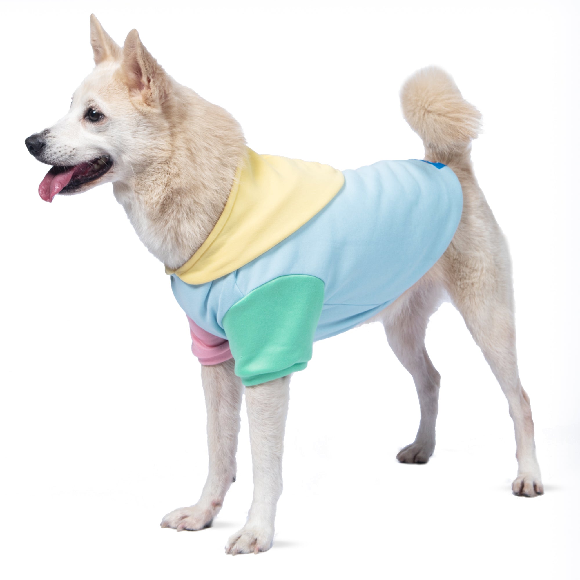 The Dodo Pastel Colorblock Dog Hoodie - Medium