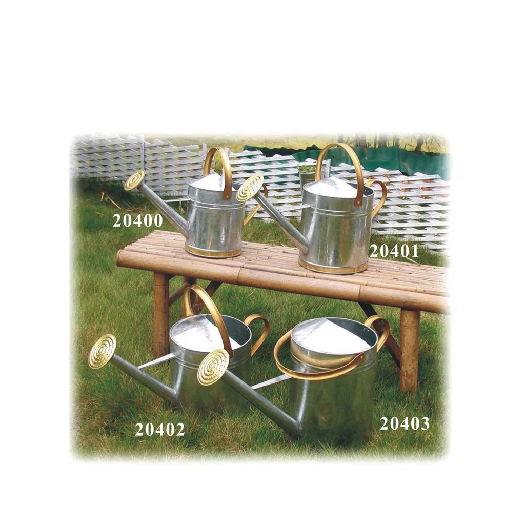 Natural style popular Custom Wholesale Metal Watering Can for Garden Plant Flower