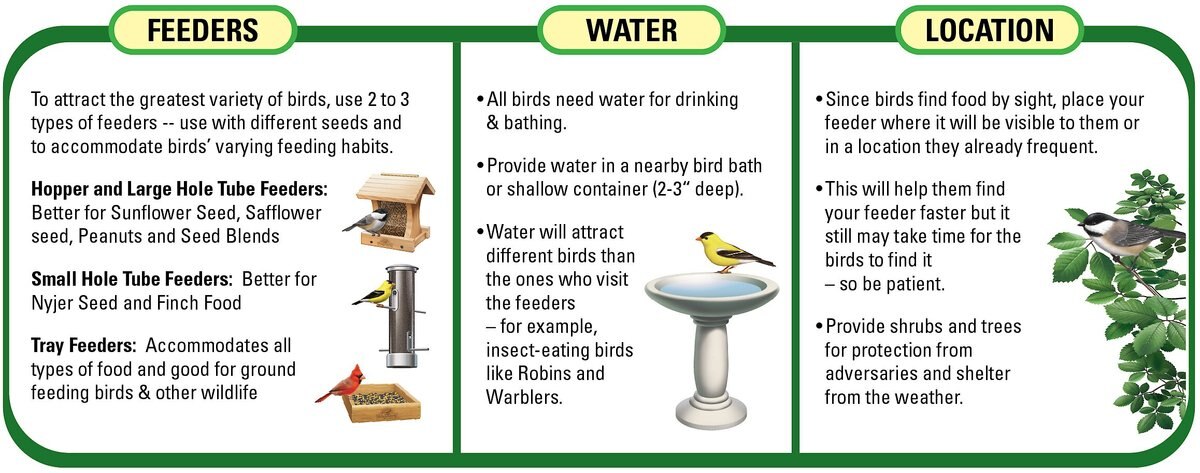 Wagner's Mealworms Wild Bird Food