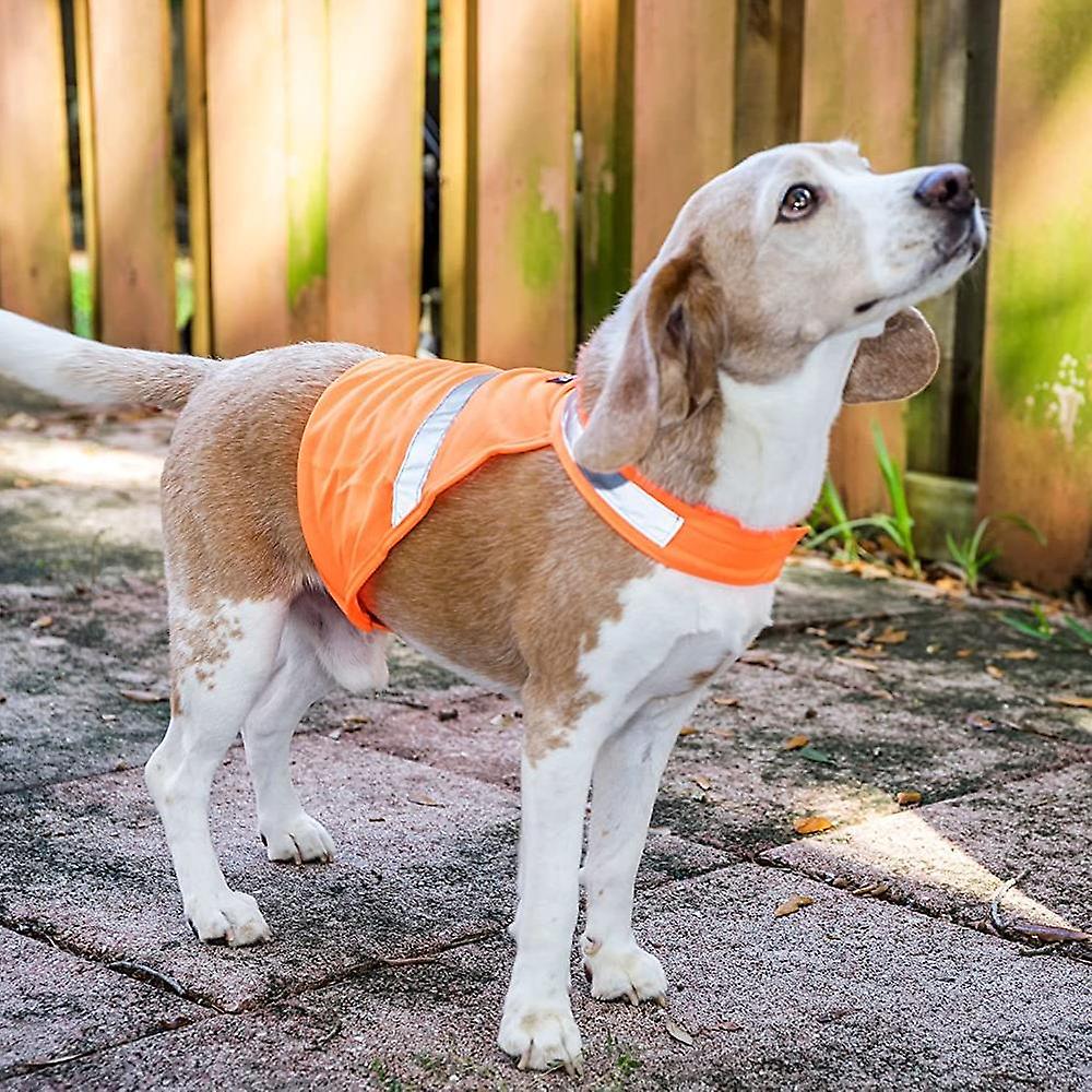 Dog Jacket High Visibility Safety Reflective Dog Vest For Small Medium Large Dogs-orange M