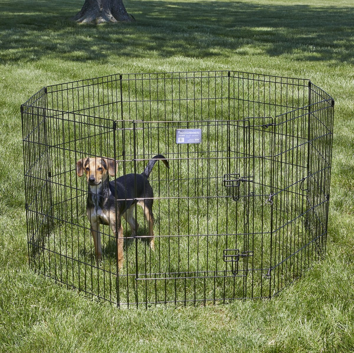 MidWest Wire Dog Exercise Pen with Step-Thru Door， Black E-Coat