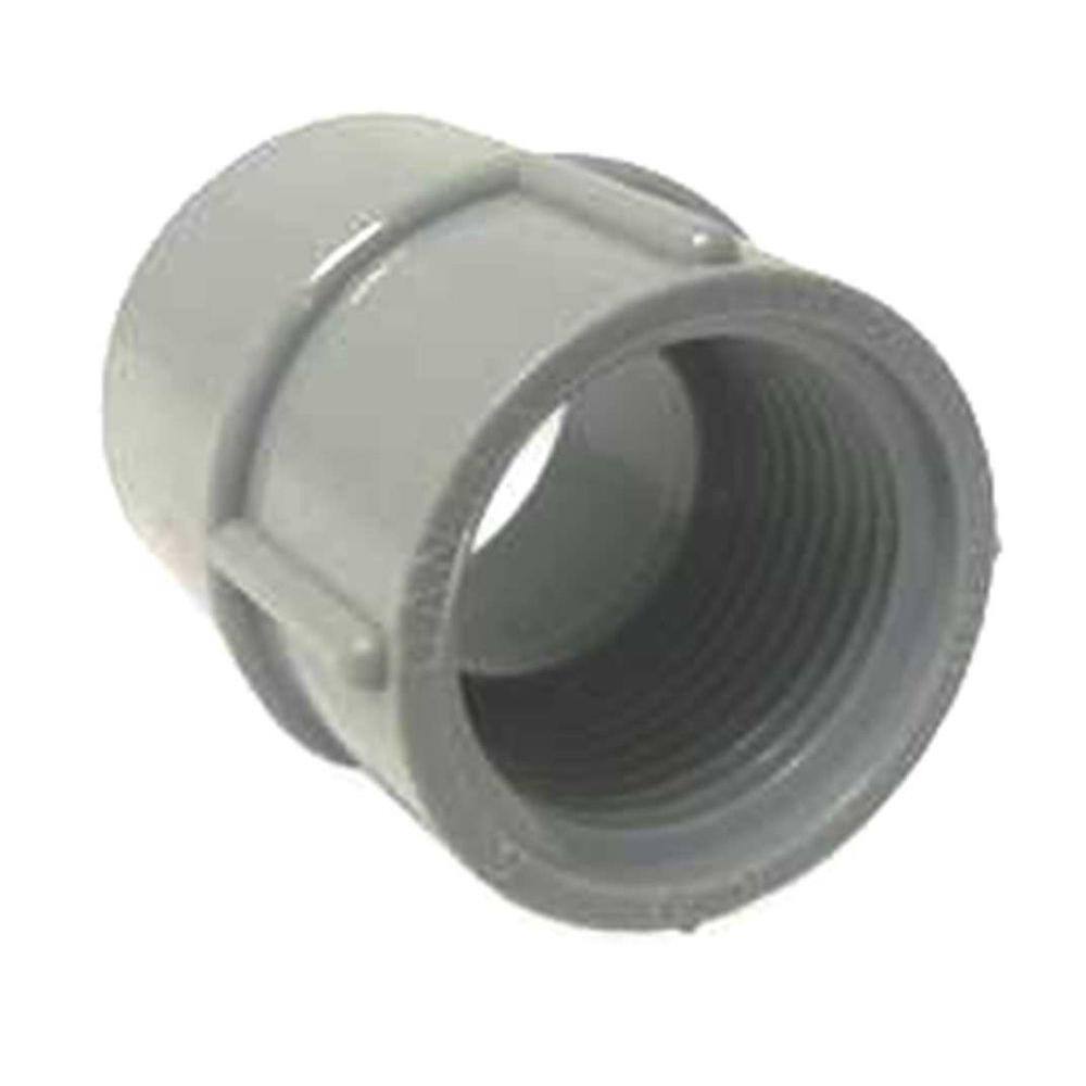 Cantex 1 in. Female Conduit Adapter R5140045