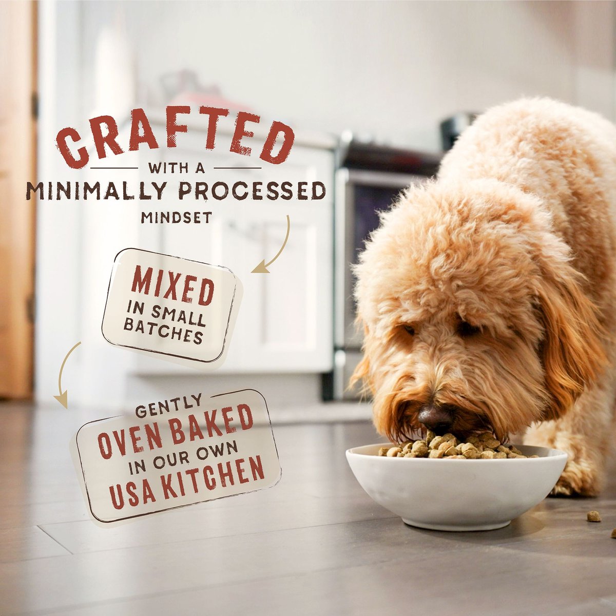 Stella and Chewy's SuperBlends Raw Coated Wholesome Grains Cage-Free Chicken and Duck Recipe with Superfoods Dry Dog Food