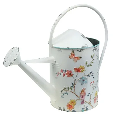 Customized Gardening Flowers Long Spout Water Kettle Galvanized Power Coated Metal Watering Can Garden