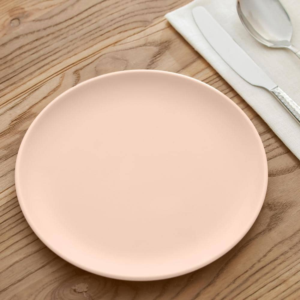 StyleWell Taryn Melamine Salad Plates in Matte Aged Clay (Set of 6) AA5479ACL