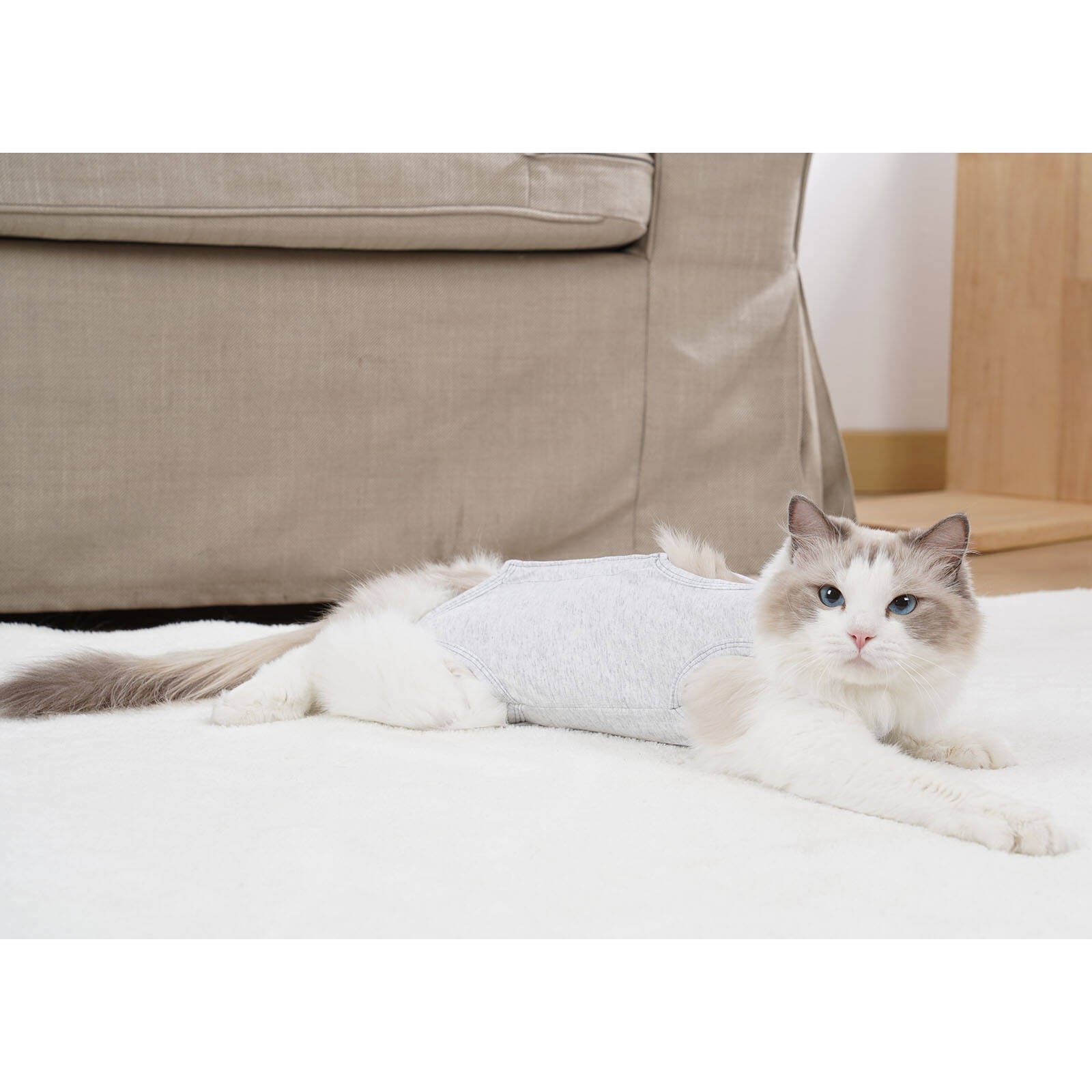 Dotoner Cat Recovery Suit for Abdominal Wounds or Skin Diseases， after Surgery Wear， E-Collar Alternative， Anti Licking Wounds Pajama Suit for Cats (L，light grey)